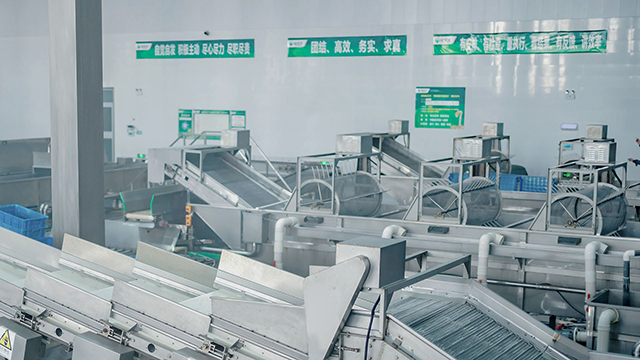 金豆子·生產(chǎn)工藝