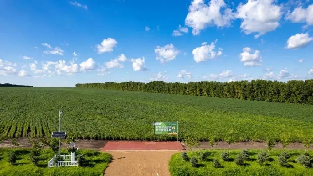 【河南日報農村版報道】金豆子如何用14年把一顆小豆芽種成民生大事業