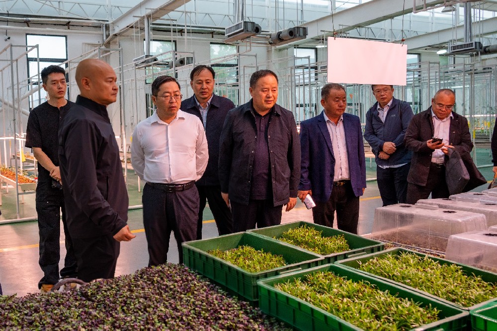 國家大豆產業專家團赴金豆子集團考察調研，共同探討大豆產業鏈發展